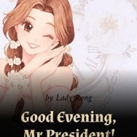 Good Evening, Mr President!