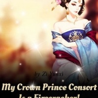 My Crown Prince Consort Is a Firecracker!