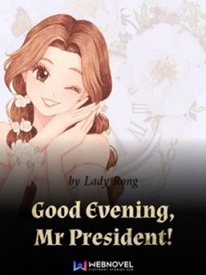 Good Evening, Mr President!