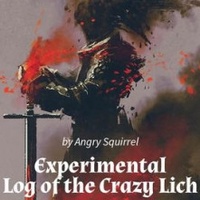 The Experimental Log of the Crazy Lich